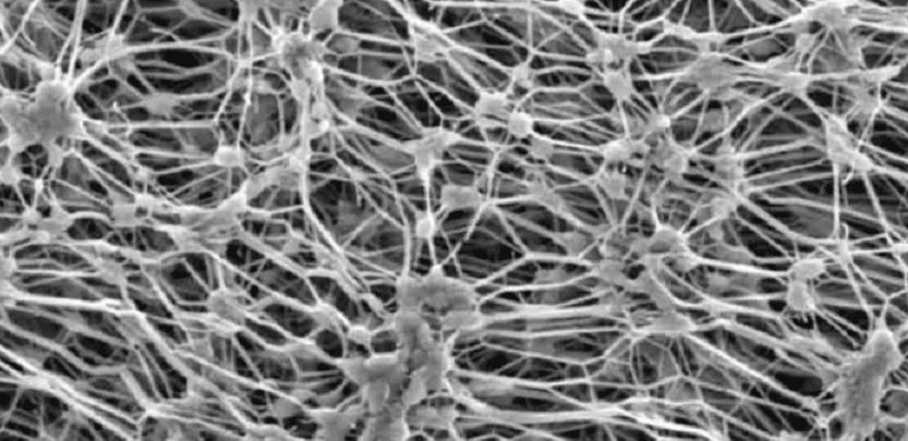 黄瓜视频污在线观看機
