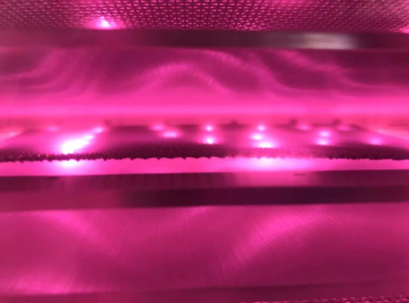 黄瓜视频污在线观看機