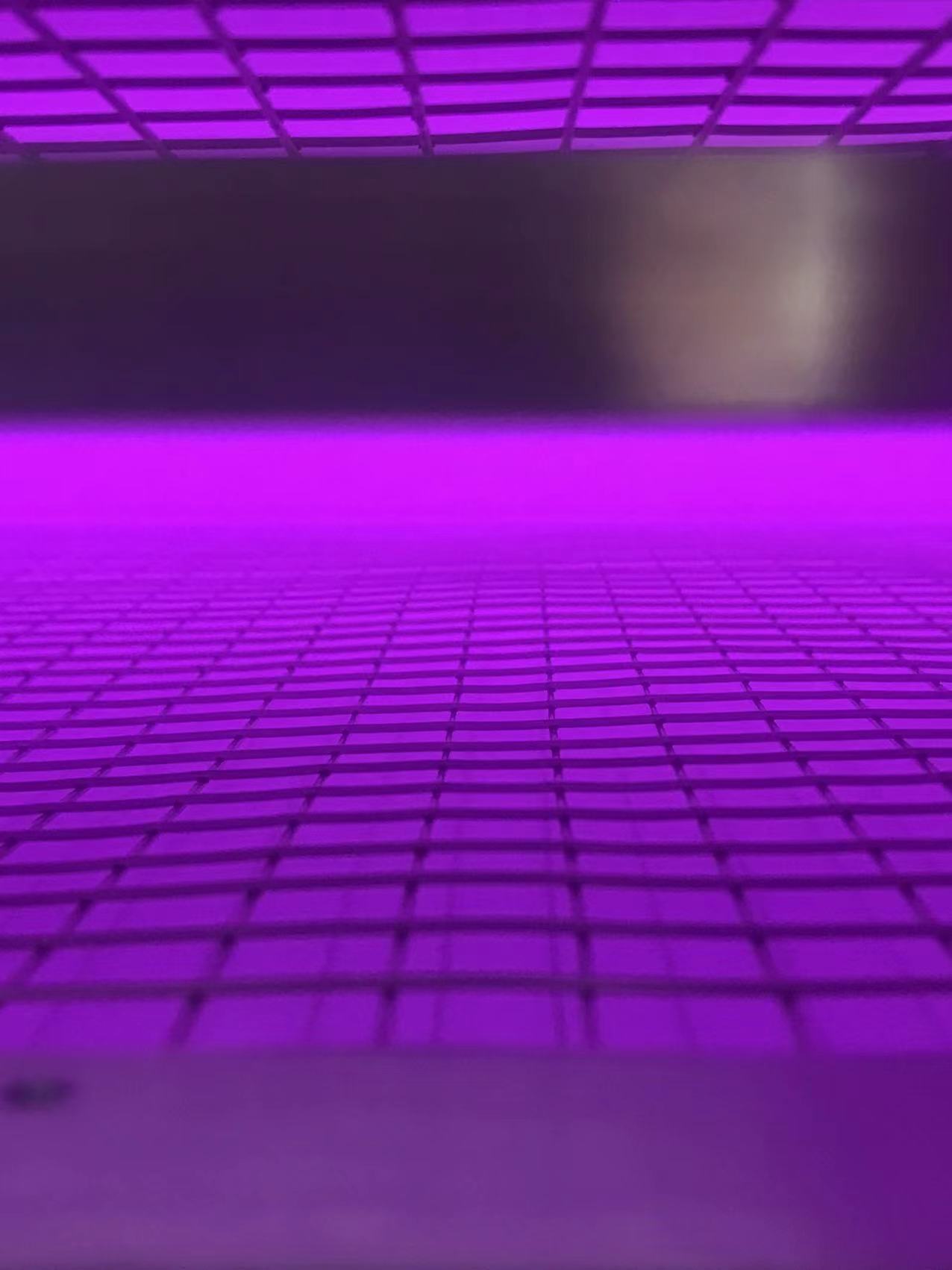 低溫黄瓜视频污在线观看機