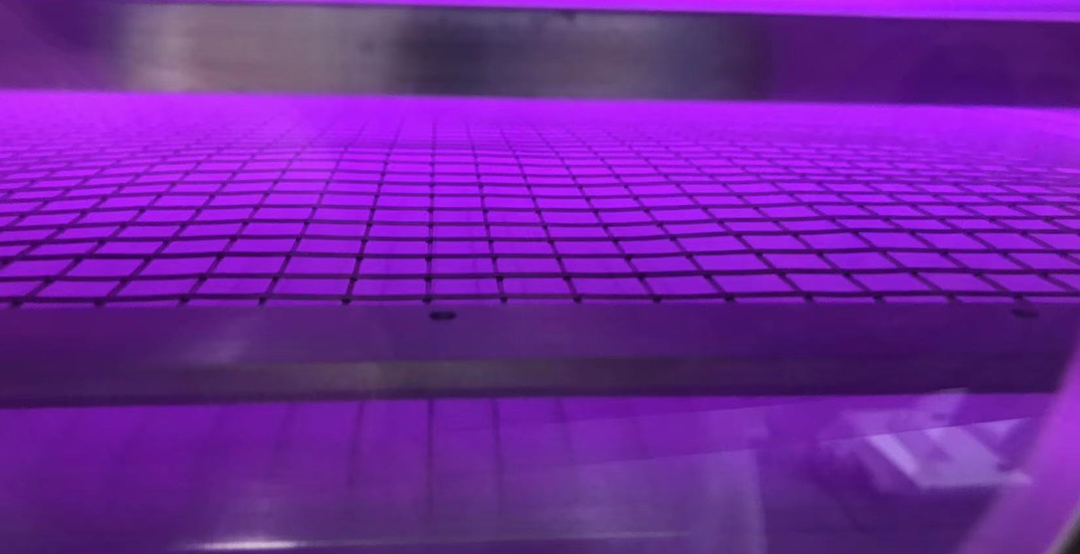 黄瓜视频污在线观看