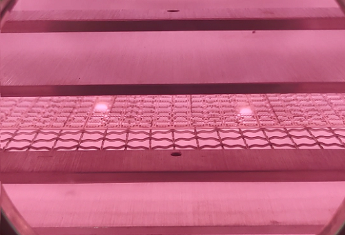 黄瓜视频污污污在线观看機