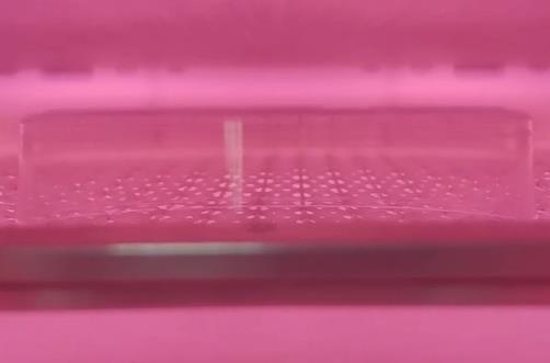 非標黄瓜视频污在线观看機