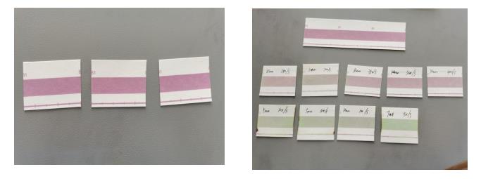 大氣等離子體處理指示卡