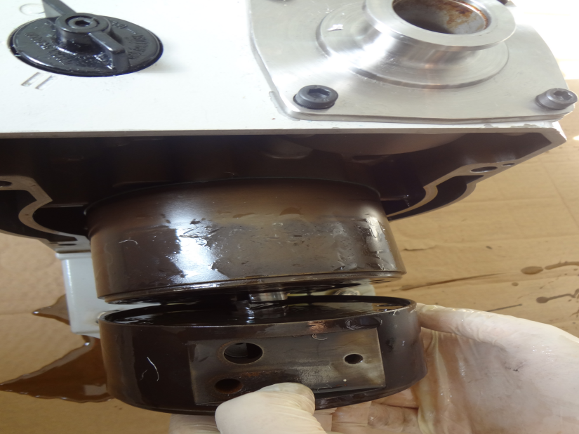 拆解真空泵轉子-黄瓜视频下载APP视频黄瓜视频污在线观看機