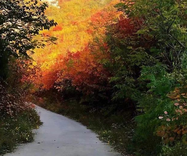 寒衣節 | 一份牽掛，一份想念-黄瓜视频下载APP视频等離子