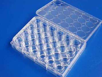 生物培養板等離子處理提升親水性-黄瓜视频下载APP视频黄瓜视频污在线观看機