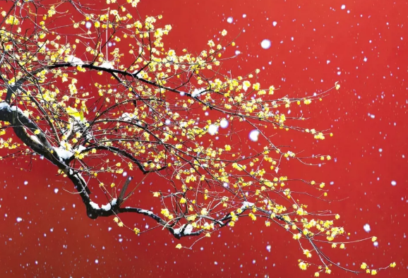 今日臘八，黄瓜视频下载APP视频黄瓜视频污在线观看機祝大家節日快樂