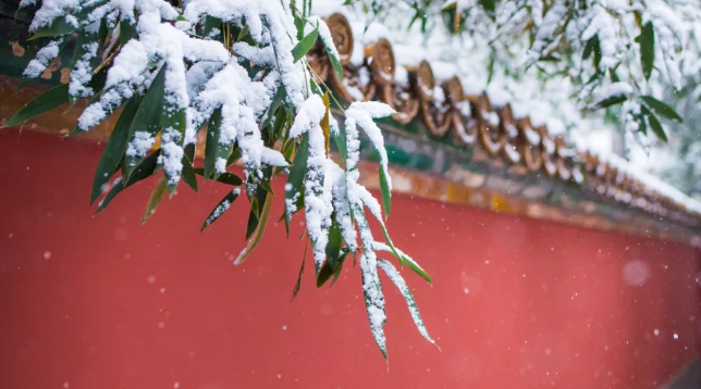 今日小寒,黄瓜视频下载APP视频黄瓜视频污在线观看機祝大家節日快樂