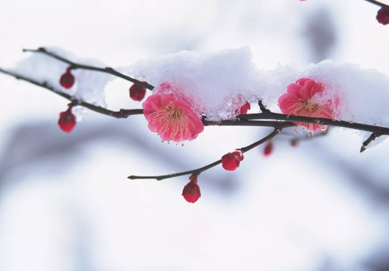 黄瓜视频下载APP视频黄瓜视频污在线观看機提醒，今日大寒仍需防寒