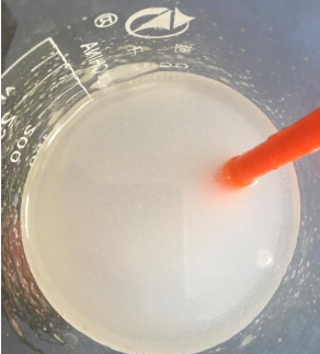 低溫等離子處理技術製備變性澱粉-黄瓜视频下载APP视频黄瓜视频污污污在线观看機