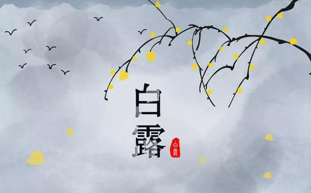 今迎白露，盛夏退場-黄瓜视频下载APP视频黄瓜视频污在线观看機